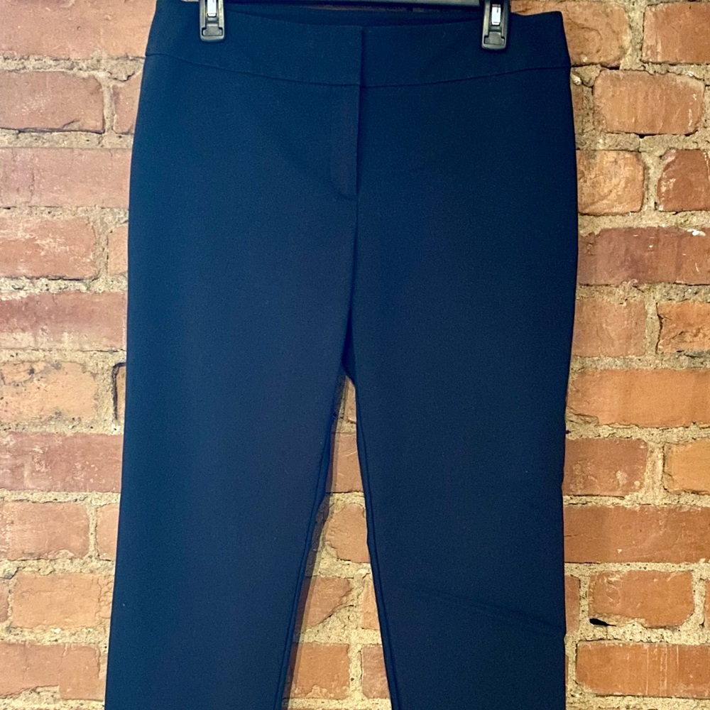 Ann Taylor dress pants